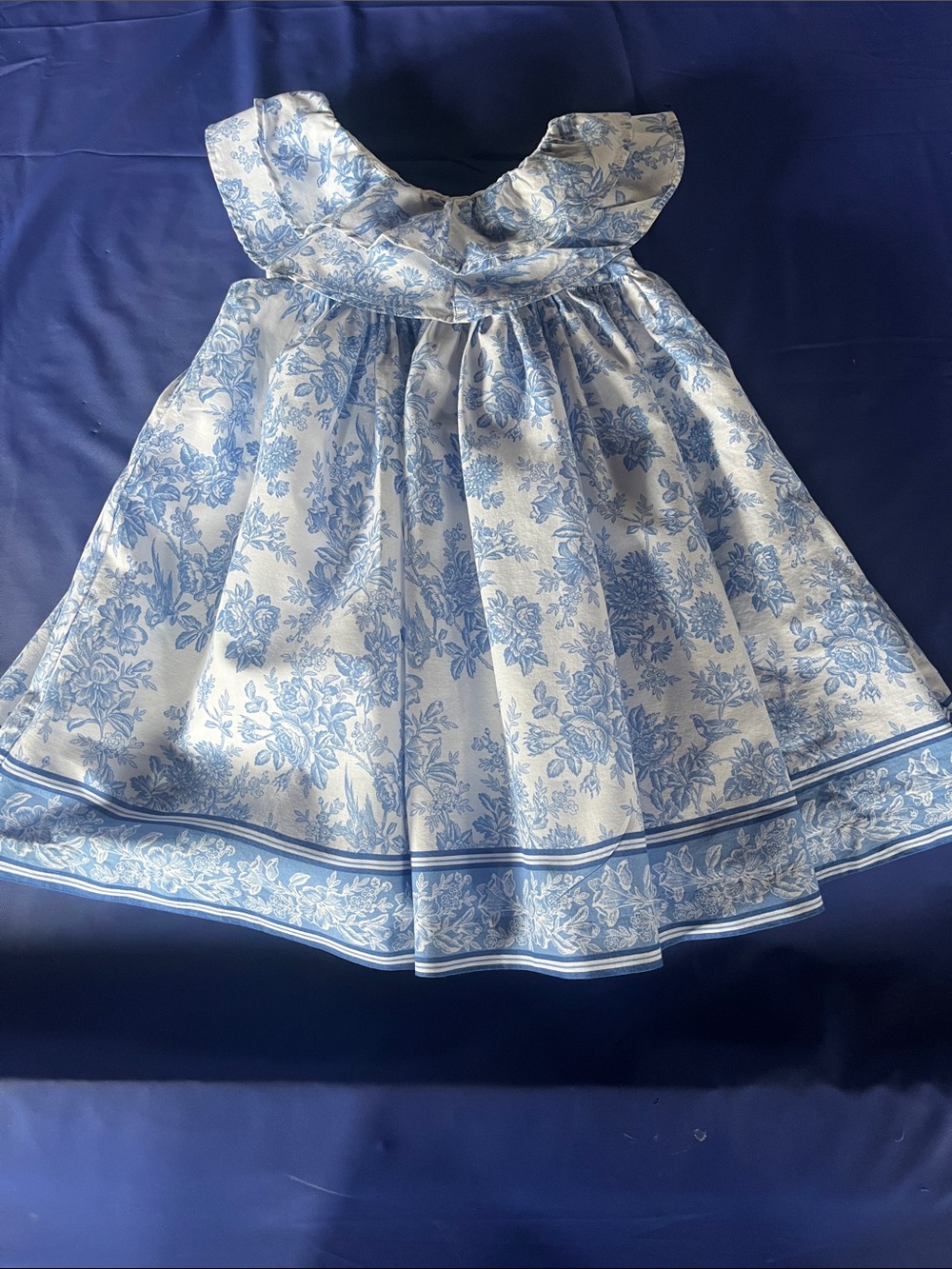 Janie and Jack Blue and White Floral Ruffle Collar Dress